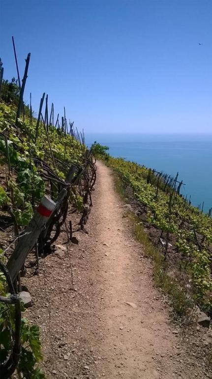 Creuza De Cinque Terre Apartment Volastra Kültér fotó